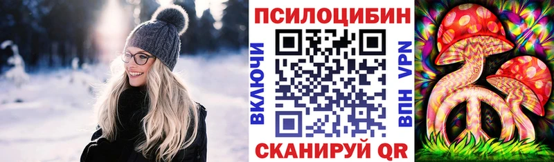 продажа наркотиков  Назрань  это как зайти  Псилоцибиновые грибы Cubensis 